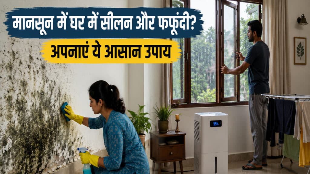 मानसून में घर की दीवारों पर दिखने लगी फफूंदी? अपनाएं ये आसान उपाय, सीलन होगी दूर home-care-tips-in-monsoon.jpg