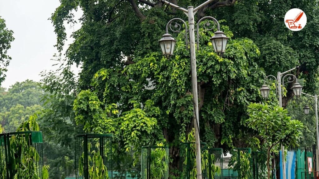 उत्तर प्रदेश मौसम अपडेट 19 सितंबर 2026: प्रदेश में बारिश का दौर रहेगा जारी, लेकिन किसी जिले में चेतावनी नहीं up weather update